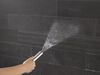 2-Setting Hand Shower with ProClean&trade; Spray