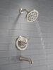 Monitor&reg; 14 Series Tub and Shower