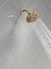 Fixed 5-Setting Showerhead