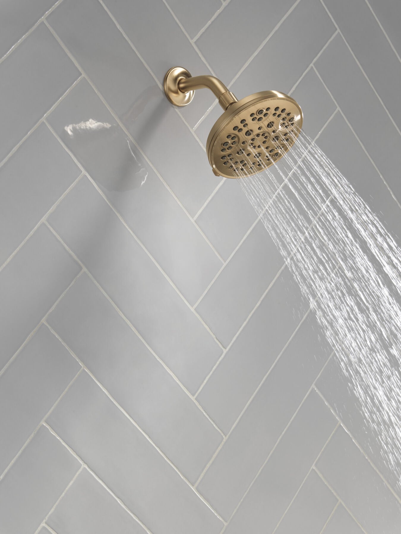 Fixed 5-Setting Showerhead
