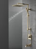 Single-Setting Metal Raincan Shower Head