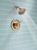 Shower Trim 17S (Recertified)