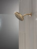 PivotPro&trade; Raincan Shower Head