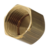 1/2" Female IPS Brass Cap