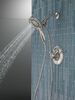 Monitor&reg; 17 Series Shower Trim with In2ition&reg;