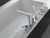 Roman Tub with Hand Shower Trim