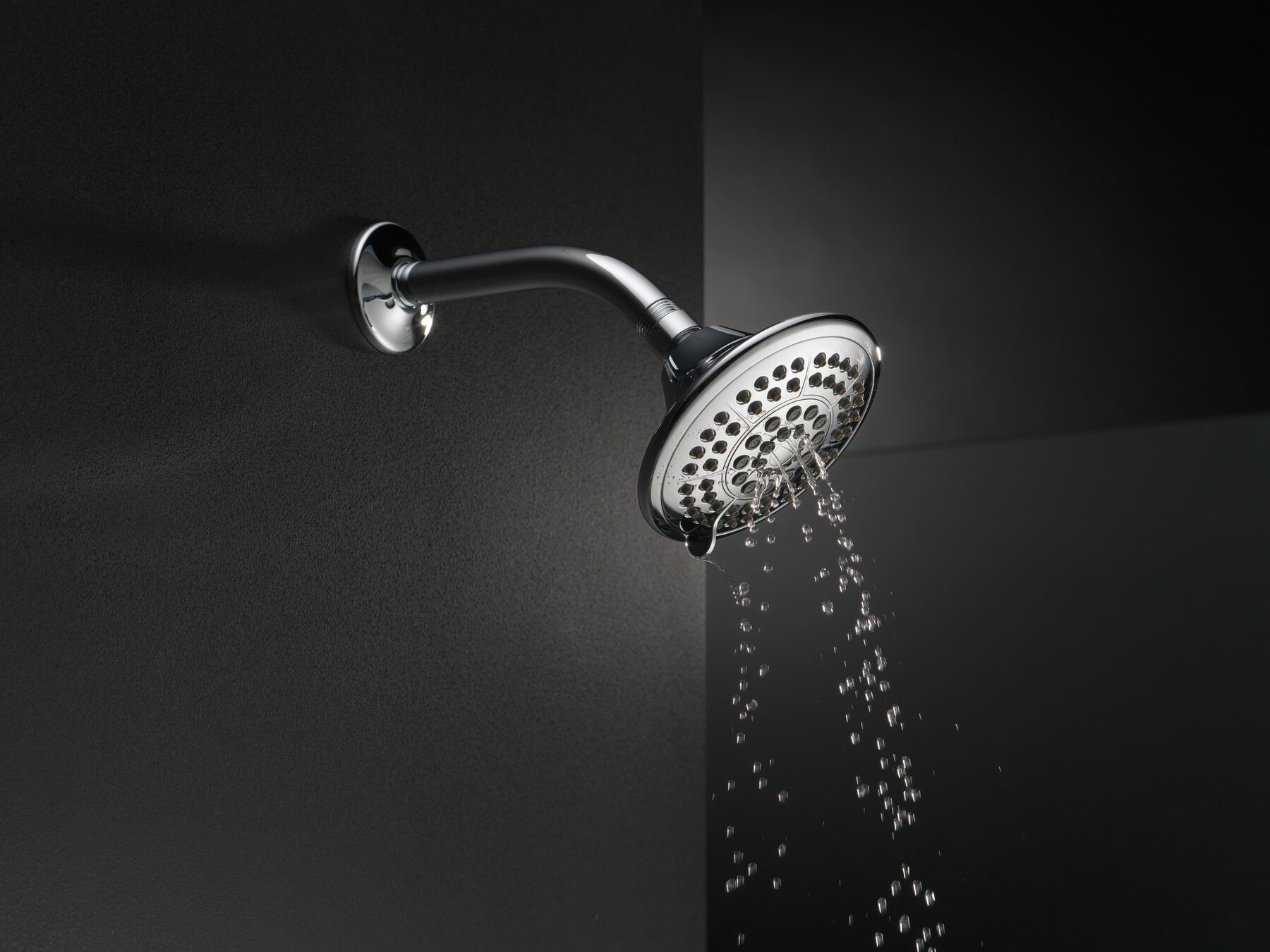 5-Setting Raincan Shower Head