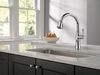 Single Handle Pull-Down Kitchen Faucet with ShieldSpray&reg; Technology