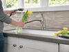 Pull-Out Kitchen Faucet (Recertified)