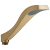 Hand Shower - Roman Tub
