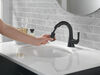 Single Handle Pull-Down Bathroom Faucet