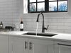 Touch<sub>2</sub>O&reg;  Pull-Down Kitchen w/ShieldSpray (Recertified)