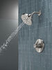 Shower Rough & Trim 14S (Recertified)