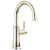 Traditional Beverage Faucet
