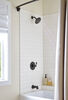 Monitor&reg; 14 Series Tub & Shower (Recertified)