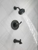 Tub & Shower Rough/Trim 14S (Recertified)