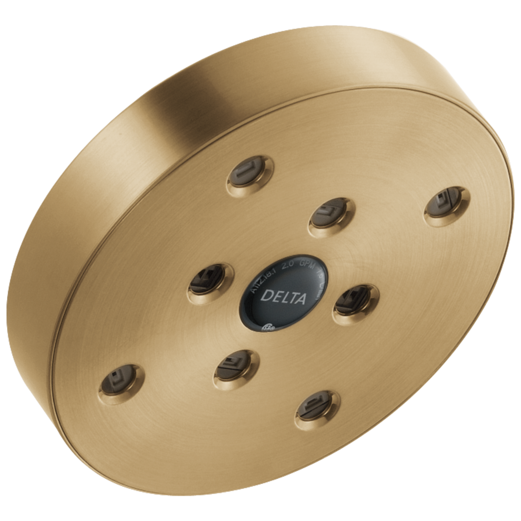 H<sub>2</sub>Okinetic&reg; Single-Setting Raincan Shower Head