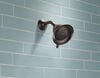 Premium 3-Setting Shower Head