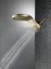 HydroRain&reg; H<sub>2</sub>Okinetic&reg; 5-Setting Two-in-One Shower Head