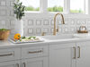 Single Handle Pull-Down Kitchen Faucet with Soap Dispenser and ShieldSpray&reg; Technology