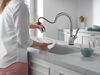 Single Handle Pull-Down Kitchen Faucet with Touch<sub>2</sub>O&reg; and ShieldSpray&reg; Technologies