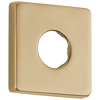 Flange - Shower