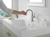 Single Handle Pull Down Bathroom Faucet