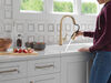 Single Handle Pull-Down Kitchen Faucet with ShieldSpray&reg; Technology