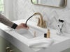 Two Handle Centerset Pull-Down Bathroom Faucet