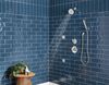 Premium Single-Setting Adjustable Wall Mount Hand Shower