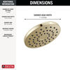 PivotPro&trade; Raincan Shower Head