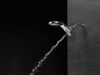 HydroRain 5 Setting Showerhead (Recertified)