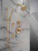 HydraChoice&reg; Body Spray Trim