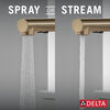 Pull-Out Kitchen Faucet (Recertified)