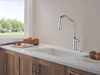 Single Handle Pull-Down Kitchen Faucet