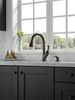 Single Handle Pull-Down Kitchen Faucet with Soap Dispenser