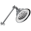 Single-Setting Raincan Shower Head with Adjustable Arm