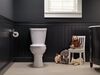 Toilet with FlushIQ&reg; - Elongated Front