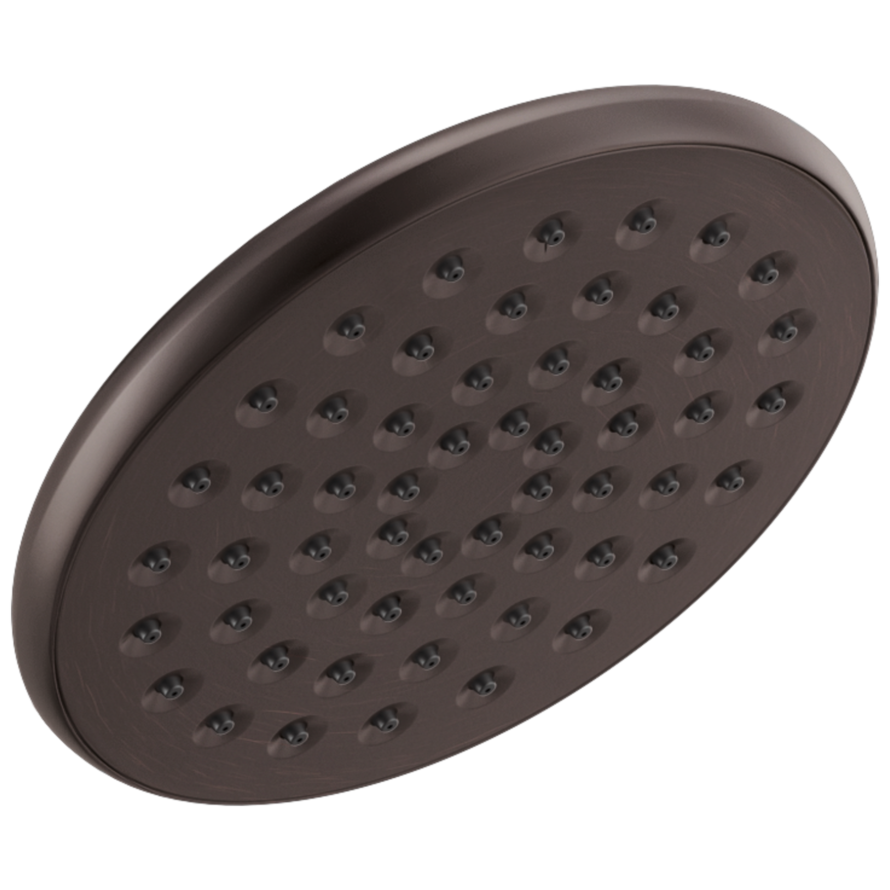 Single-Setting Raincan Shower Head