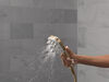 Detangling Shower Tool