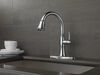 Single Handle Pull-Down Kitchen Faucet with ShieldSpray&reg; Technology