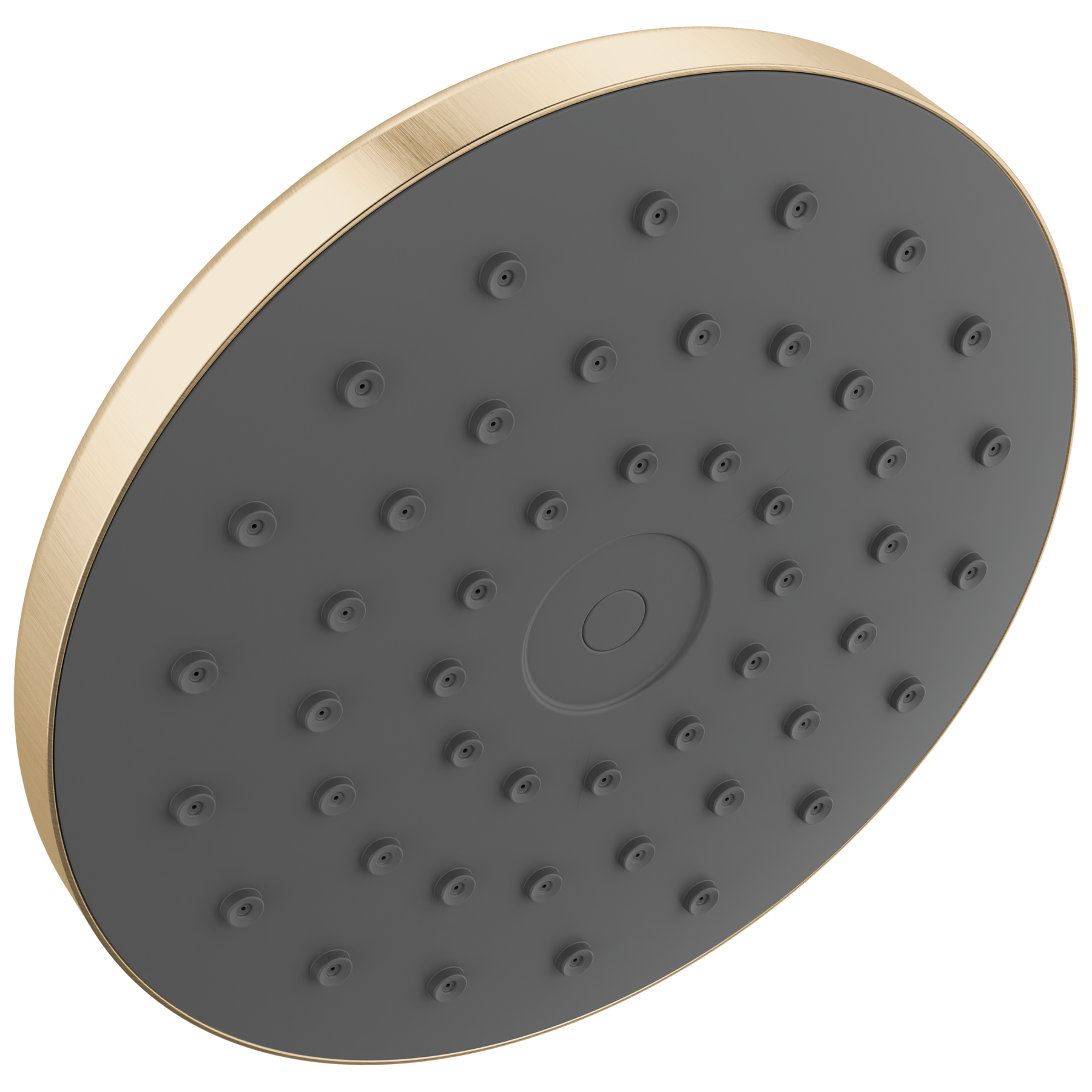PivotPro&trade; Raincan Shower Head with TouchClean&reg; Spray Face