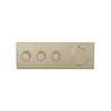 High Flow Push Button Themrostatic Trim 3 Outlet
