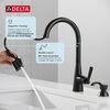 Single Handle Pull-Down Kitchen Faucet with Soap Dispenser and ShieldSpray&reg; Technology