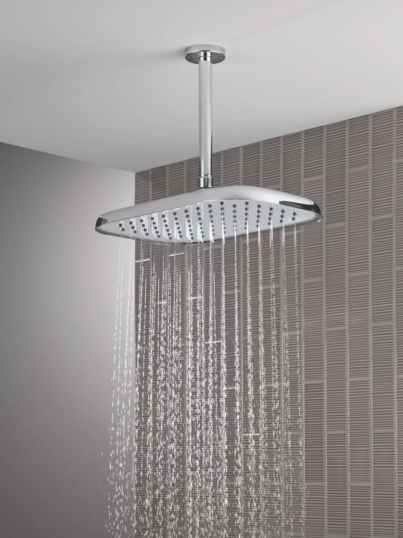 Single-Setting Raincan Shower Head