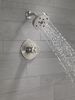 H<sub>2</sub>Okinetic&reg; Single Handle Shower Trim (Recertified)