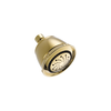 Premium 5-Setting Shower Head