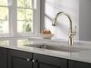 Single Handle Pull-Down Kitchen Faucet with ShieldSpray&reg; Technology