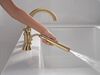 Three Hole Roman Tub Trim with Hand Shower