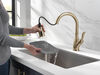 Pull-Down Kitchen with Soap Disp Bundle